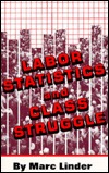 Labor Statistics and Class Struggle (Paperback)