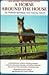 A Horse Around the House by Marcia Hayes A Horse Around the House by Marcia Hayes