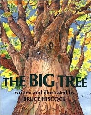 The Big Tree (Library Binding)