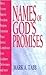 Names of God's Promises (Names of... Series)