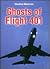 Ghosts of Flight 401 (Unsolved Mysteries)