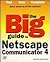 The Big Guide to Netscape C...