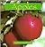Apples (Early-Reader Science Foods)