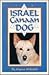 The Israel Canaan Dog by Myrna Shiboleth