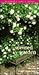 The Scented Garden (Garden ...