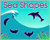 Sea Shapes (Hardcover)