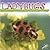 Ladybugs (Insects Discovery Library)