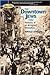 The Downtown Jews by Ronald Sanders
