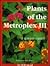 Plants of the Metroplex III