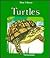Turtles by Janet Craig