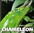 Chameleon (Living Things)