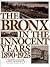 The Bronx in The Innocent Years (Life in The Bronx Series)