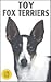 Toy Fox Terriers