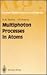 Multiphoton Processes in Atoms (Springer Series on Atoms and Plasmas)