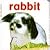 RABBIT (Baby Animal Board B...