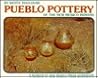 Pueblo Pottery of the New Mexico Indians: Ever Constant, Ever Changing (A Museum of New Mexico Press Guidebook)