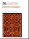 Technological Capabilities and Learning in African Enterprises (World Bank Technical Paper)