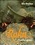 Raku: A Practical Approach