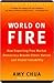 World on Fire World on Fire World on Fire by Amy  Chua