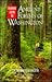 Visitors' Guide to the Ancient Forests of Washington by Wilderness Society