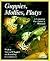 Guppies, Mollies and Platys (Complete Pet Owner's Manuals)