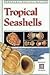 Tropical Seashells (Periplus Nature Guides)