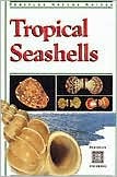 Tropical Seashells (Periplus Nature Guides)