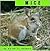 Mice (Animals)