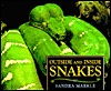 Outside and Inside Snakes (Outside Inside)