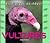 Wild Birds of Prey - Vultures