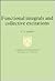 Functional Integrals and Collective Excitations (Cambridge Monographs on Mathematical Physics)