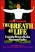 The Breath of Life: Using the Power of Ki for Maximum Vitality