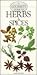 Gourmet Guide to Herbs and Spices
