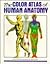 The Color Atlas of Human Anatomy (English and Italian Edition)