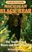 Understanding Michigan Black Bear the Truth About Bears and Bear Hunting