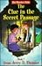 The Clue in the Secret Passage (The Shoebox Kids)