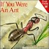 If You Were an Ant