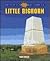 Little Bighorn