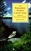 The Boundary Waters Canoe Area by Robert Beymer