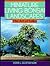Miniature Living Bonsai Landscapes: The Art of Saikei