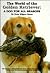 The World of the Golden Retriever: A Dog for All Seasons