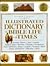 Illustrated Dictionary of Bible Life and Times