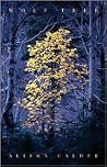Wolf Tree