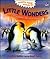 Little Wonders: Animal Babies and Their Families (Amazing Things Animals Do)