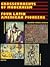 Crosscurrents of Modernism: Four Latin American Pioneers (English and Spanish Edition)