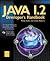 Java 2 Developer's Handbook