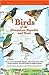 Birds of the Dominican Repu...