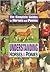 Understanding Horses and Ponies by Jackie Budd