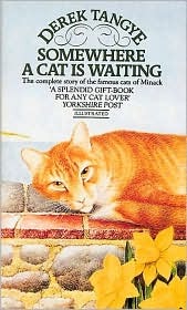 Somewhere a Cat Is Waiting (Paperback)