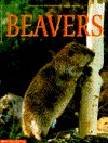 Beavers (Paperback)